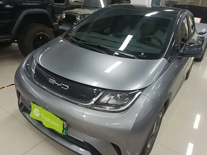 BYD Dolphin 2021, арт. CN-3664847 — фото 1