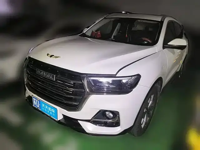 Haval H6 2021, арт. CN-3664912 — фото 1