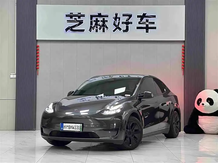 Tesla Model Y 2024, арт. CN-3665686 — фото 1