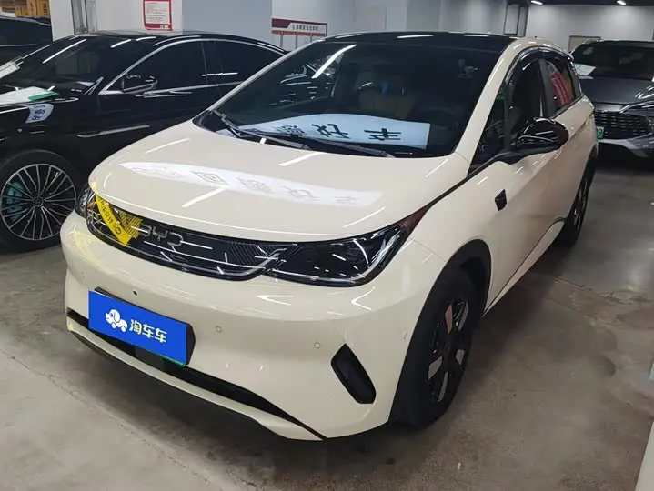 BYD Dolphin 2025, арт. CN-3666607 — фото 1
