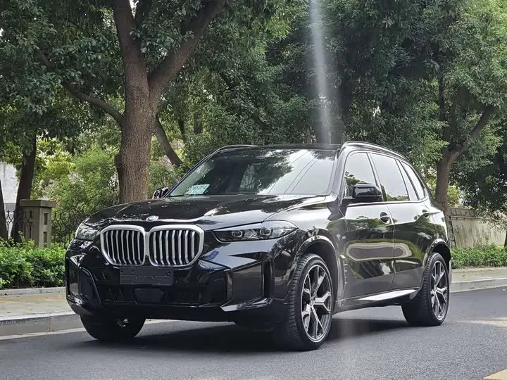 BMW X5 2025, арт. CN-3666612 — фото 1