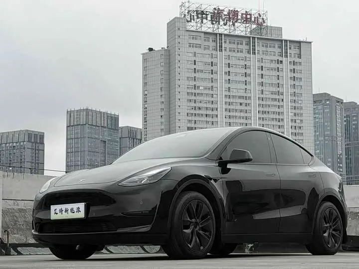 Tesla Model Y 2023, арт. CN-3667336 — фото 1