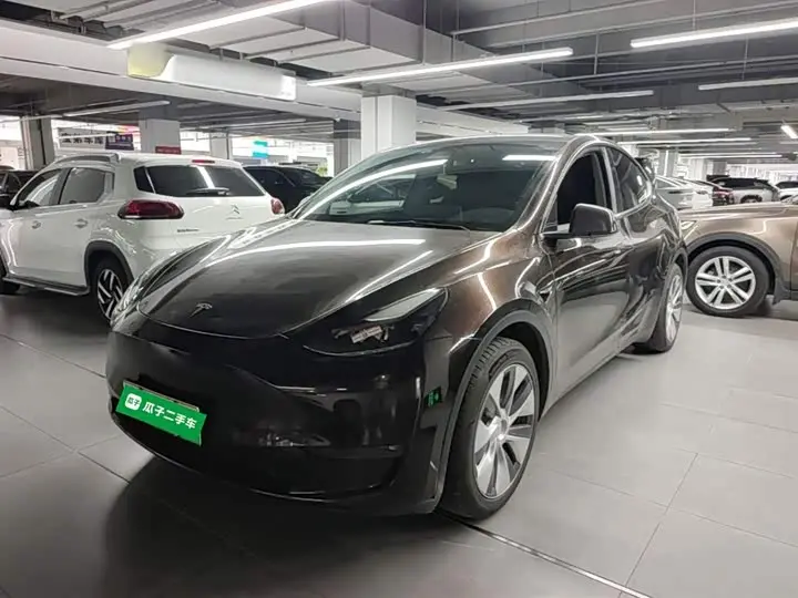 Tesla Model Y 2022, арт. CN-3667433 — фото 1