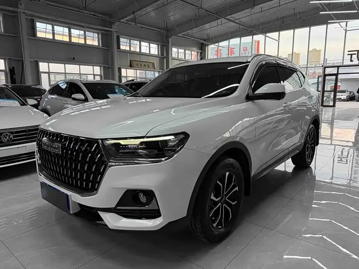 Haval H6 2023, арт. CN-3667965 — фото 1