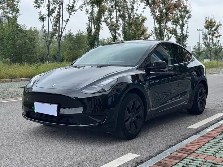 Tesla Model Y 2023, арт. CN-3668020 — фото 1