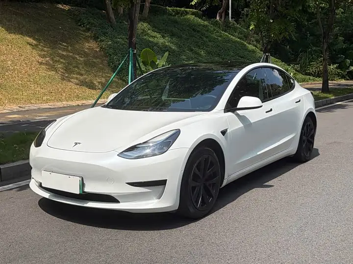 Tesla Model 3 2022, арт. CN-3668132 — фото 1