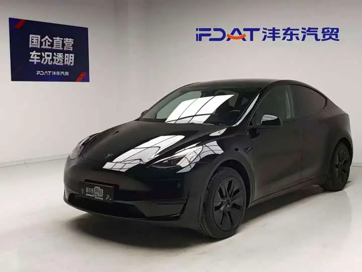 Tesla Model Y 2023, арт. CN-3668222 — фото 1