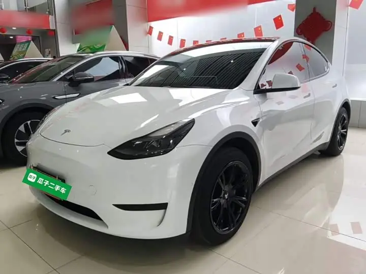 Tesla Model Y 2023, арт. CN-3668424 — фото 1