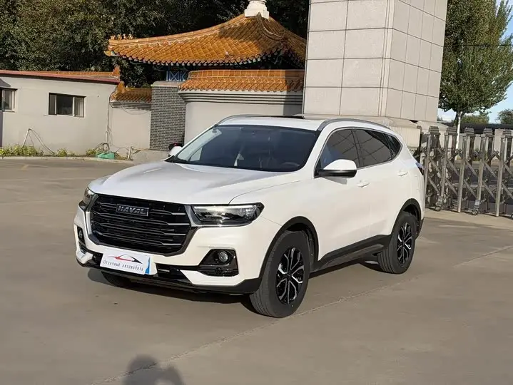 Haval H6 2021, арт. CN-3668707 — фото 1