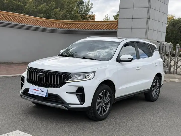 Geely Vision X6 2021, арт. CN-3673110 — фото 1