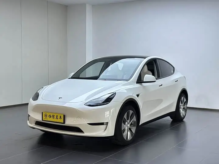 Tesla Model Y 2022, арт. CN-3673425 — фото 1