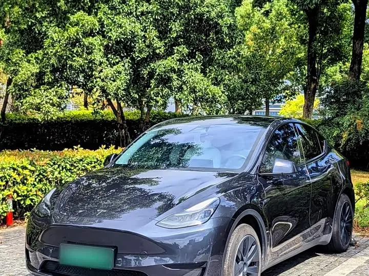 Tesla Model Y 2024, арт. CN-3673889 — фото 1