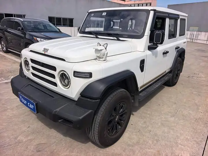 BAW 212 T01 2024, фото из объявления