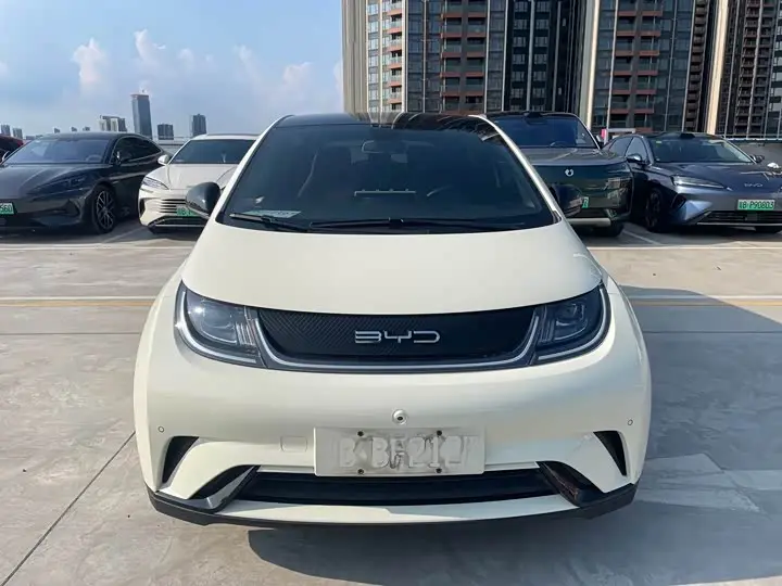 BYD Dolphin 2023, арт. CN-3674503 — фото 1