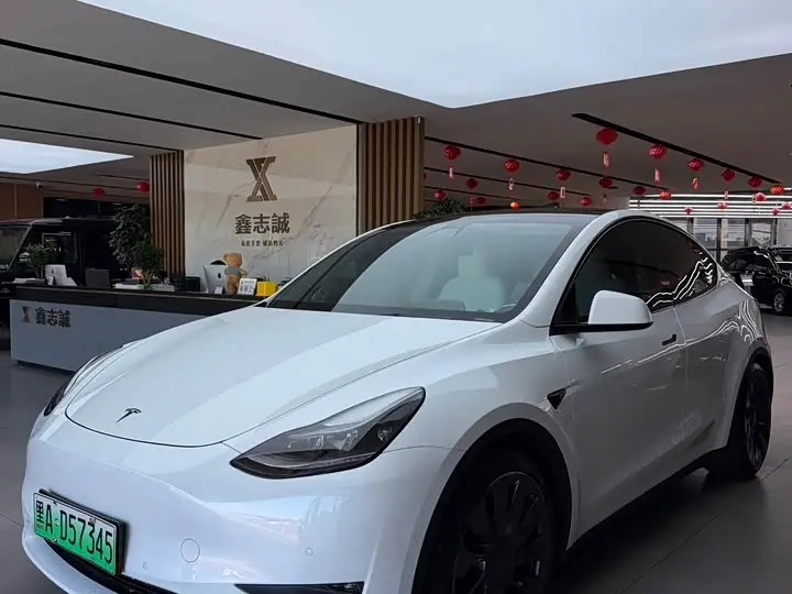 Tesla Model Y 2022, арт. CN-3674686 — фото 1