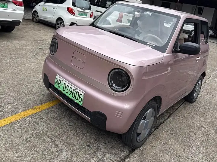 Geely Galaxy Panda Mini 2023, арт. CN-3680447 — фото 1