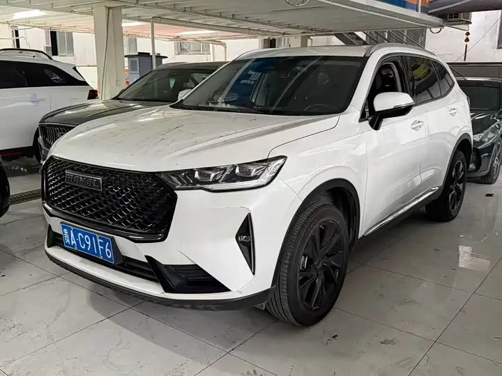 Haval H6 2021, арт. CN-3680935 — фото 1