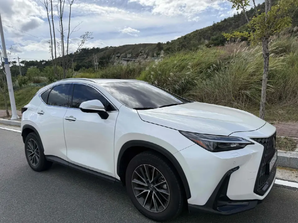 Lexus NX 2022, арт. KR-3685417 — фото 1
