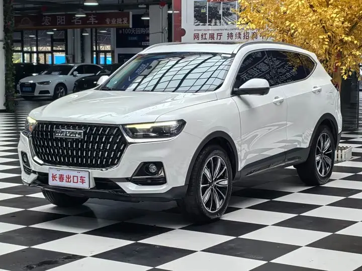 Haval H6 2023, арт. CN-3685591 — фото 1