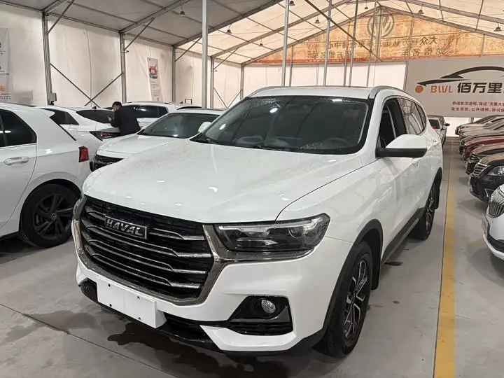Haval H6 2021, арт. CN-3685797 — фото 1