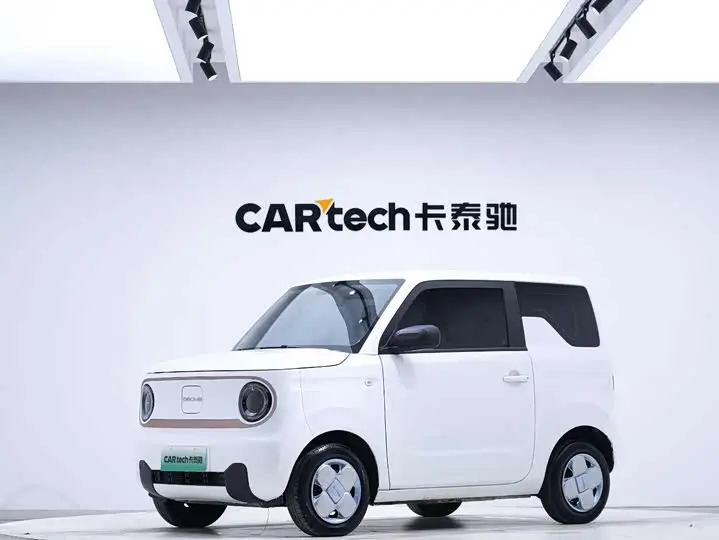Geely Galaxy Panda Mini 2024, арт. CN-3686129 — фото 1
