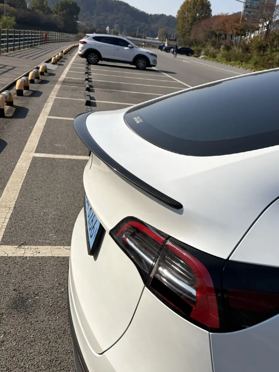 Tesla Model Y 2020, арт. KR-3689340 — фото 1