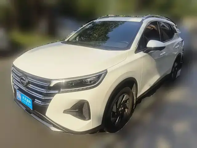 GAC Trumpchi GS4 2022, арт. CN-3689928 — фото 1
