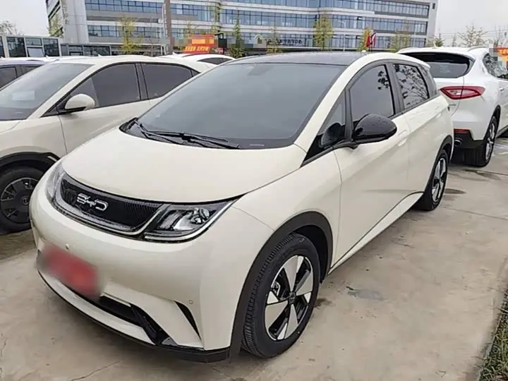 BYD Dolphin 2023, арт. CN-3690116 — фото 1