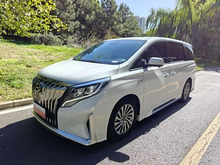GAC Trumpchi M8 2021, арт. CN-3690176 — фото 1