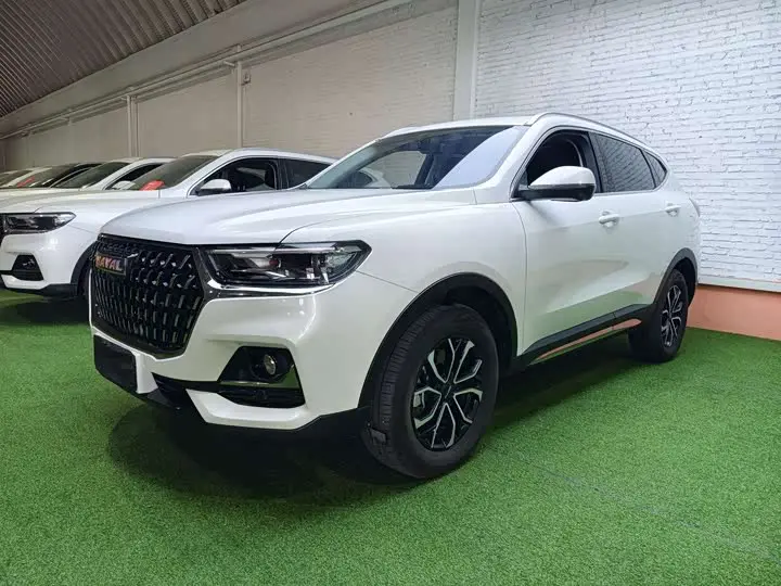 Haval H6 2023, арт. CN-3690190 — фото 1