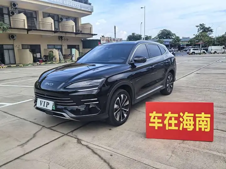 BYD Song Plus Hybrid/EV 2025, арт. CN-3690258 — фото 1