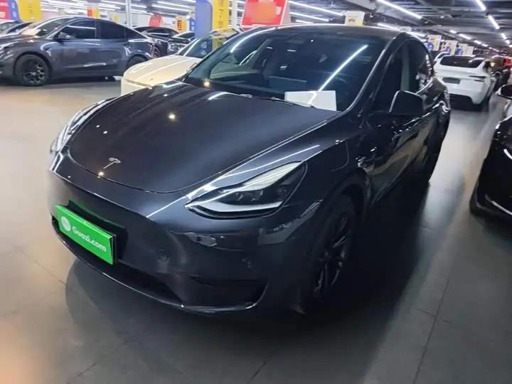 Tesla Model Y 2024, арт. CN-3690800 — фото 1