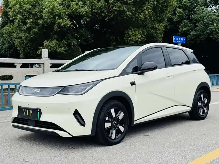 BYD Dolphin 2025, арт. CN-3690854 — фото 1