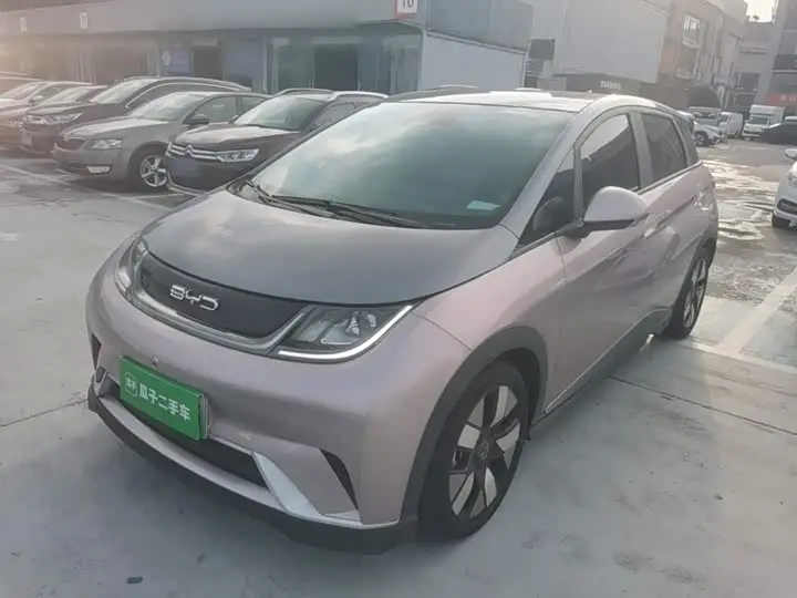 BYD Dolphin 2021, арт. CN-3691041 — фото 1