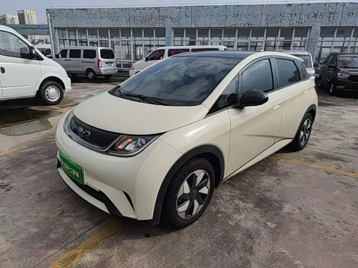 BYD Dolphin 2024, арт. CN-3691162 — фото 1