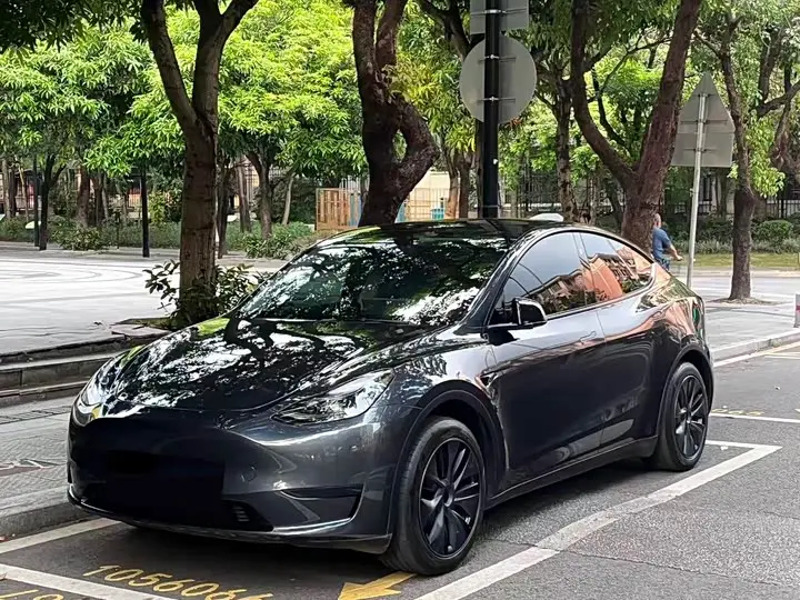 Tesla Model Y 2024, арт. CN-3691402 — фото 1