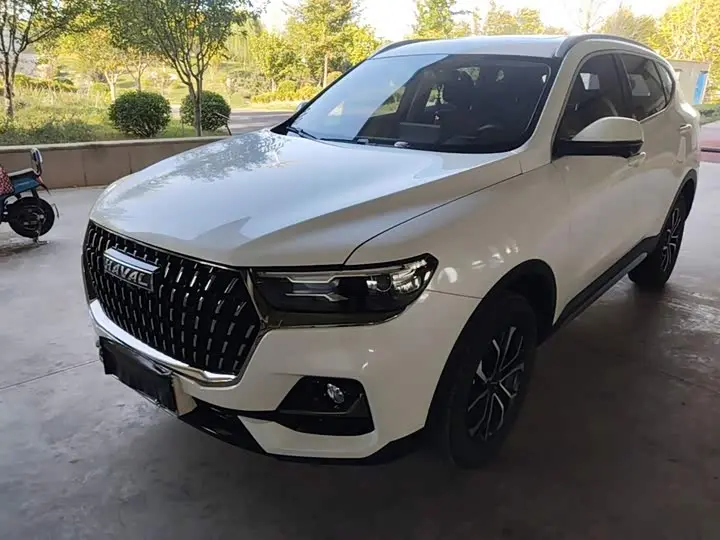 Haval H6 2023, арт. CN-3691638 — фото 1