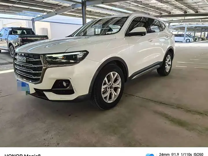 Haval H6 2021, арт. CN-3691779 — фото 1