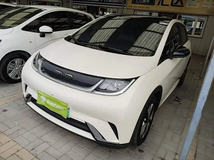 BYD Dolphin 2023, арт. CN-3691845 — фото 1