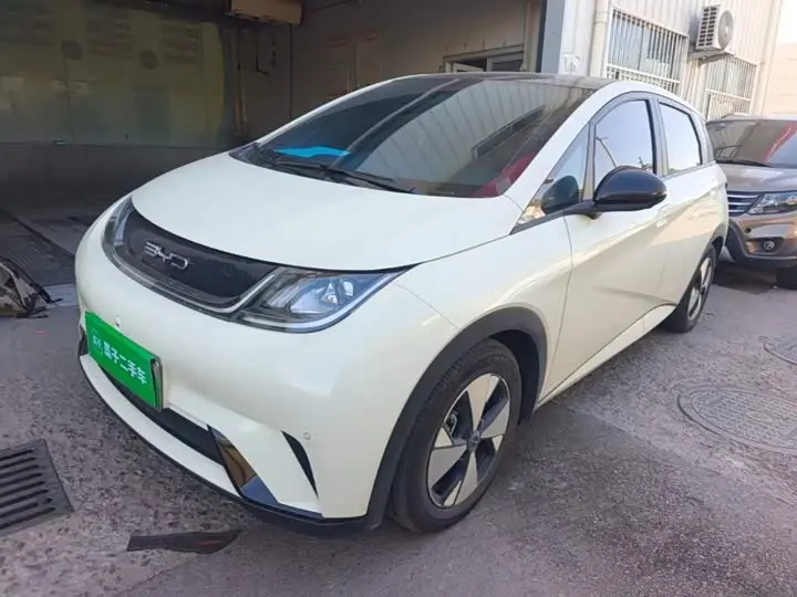 BYD Dolphin 2023, арт. CN-3693928 — фото 1