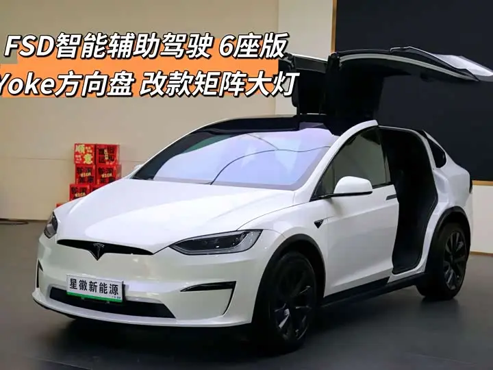 Tesla Model X 2023, арт. CN-3693948 — фото 1
