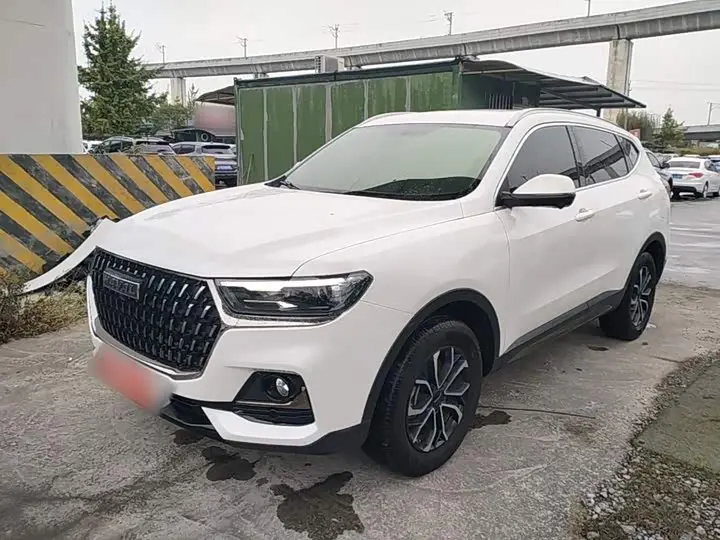 Haval H6 2023, арт. CN-3694245 — фото 1