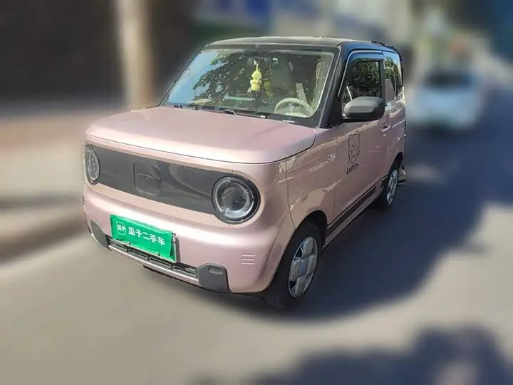 Geely Galaxy Panda Mini 2023, арт. CN-3694327 — фото 1