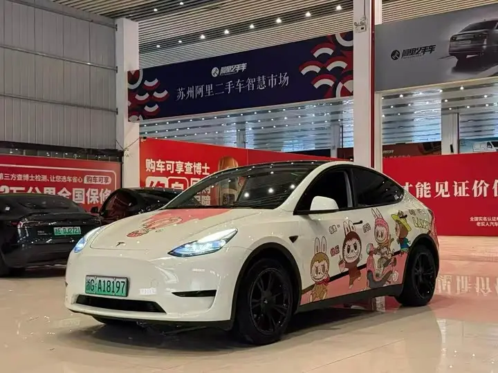 Tesla Model Y 2024, арт. CN-3694722 — фото 1