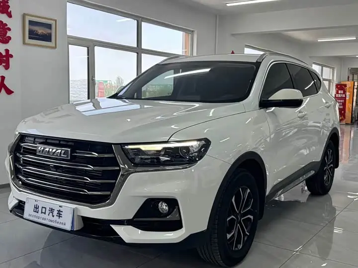 Haval H6 2021, арт. CN-3696086 — фото 1