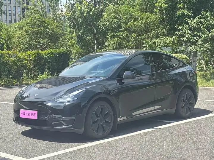 Tesla Model Y 2023, арт. CN-3696314 — фото 1
