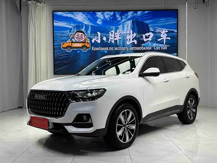 Haval H6 2023, арт. CN-3696371 — фото 1