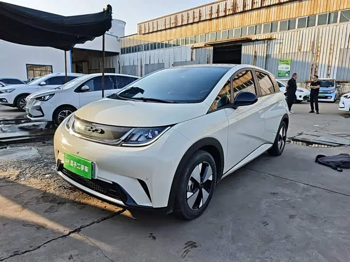 BYD Dolphin 2023, арт. CN-3698819 — фото 1