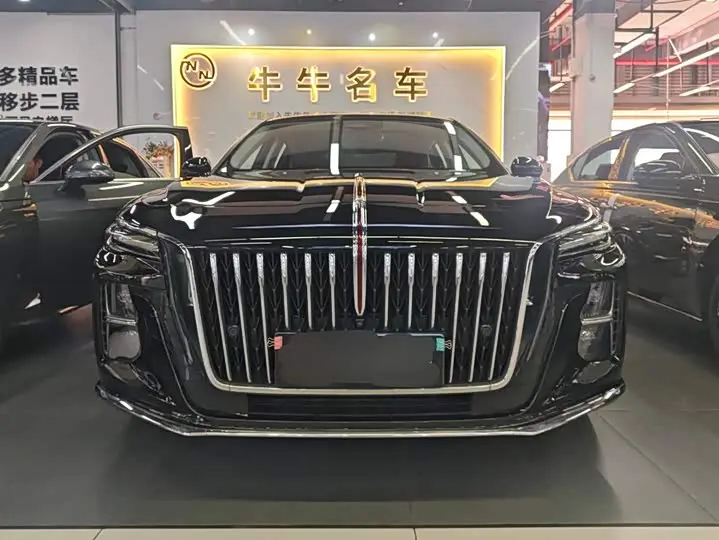 Hongqi H5 2024, арт. CN-3699231 — фото 1