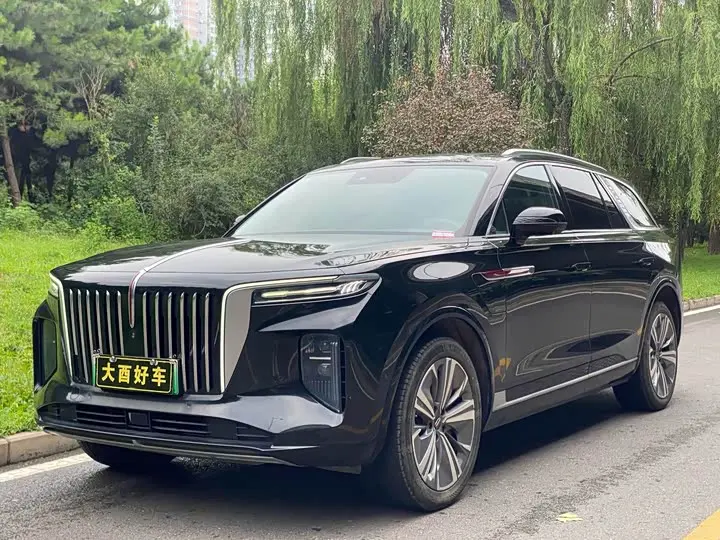 Hongqi E-HS9 2021, фото из объявления